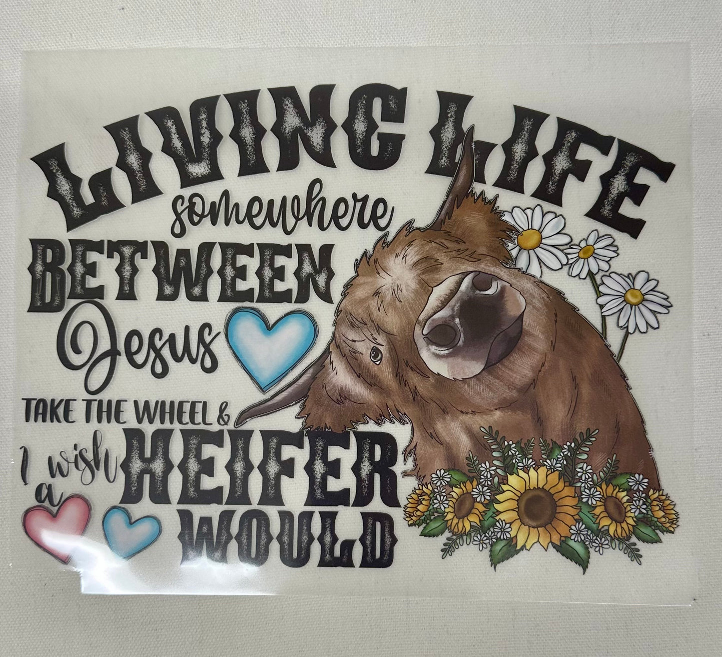 DTF TRANSFERS - HIGHLAND COWS