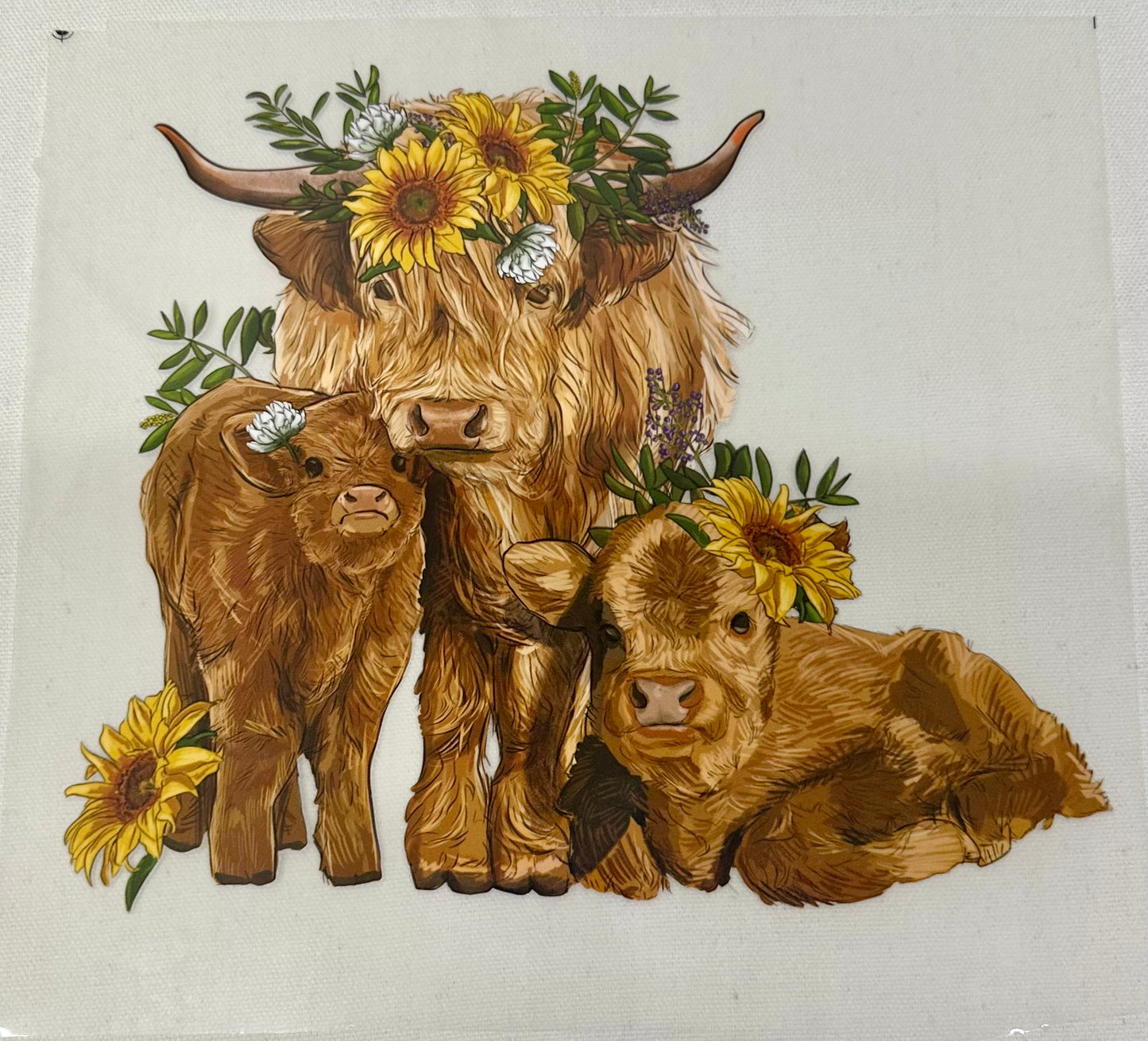 DTF TRANSFERS - HIGHLAND COWS