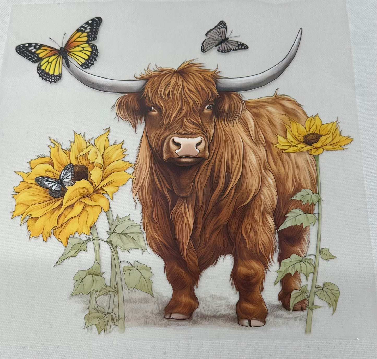DTF TRANSFERS - HIGHLAND COWS