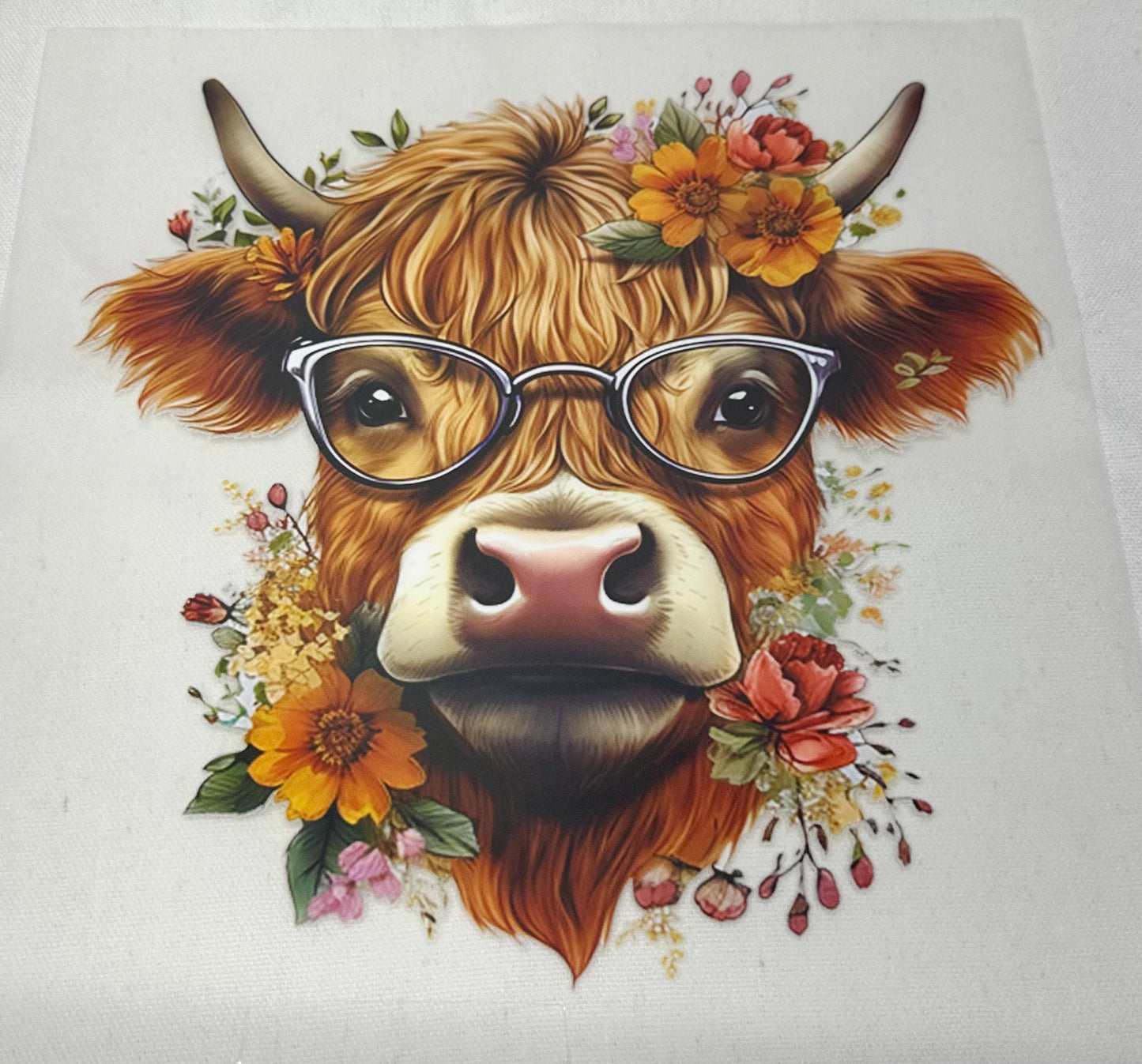 DTF TRANSFERS - HIGHLAND COWS